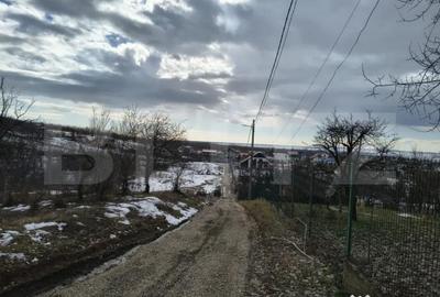 Teren în Păulești - 6
