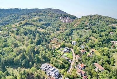 Teren intravilan Brasovul Vechi - 12