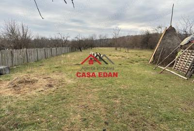 Casă cu Teren 2080 Mp în Brebu - 2