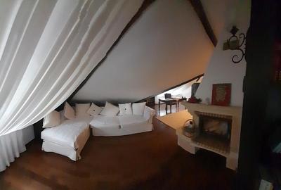 Domeniu  in Prahova- probabil una dintre cele mai frumoase reședințe - 24