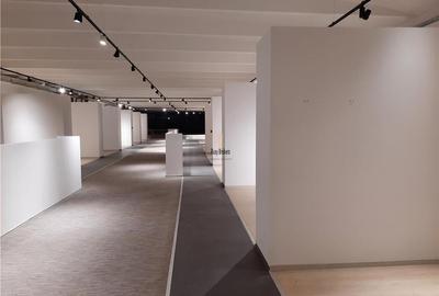 Spatii Comerciale - 500 mp - Showroom - Comert - 19