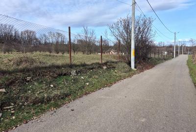 Teren Construcții intravilan de 9123 mp, în Vălenii de Munte - 1