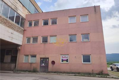 Cladire industriala cu societate in fuctiune (Miercurea Ciuc - 5