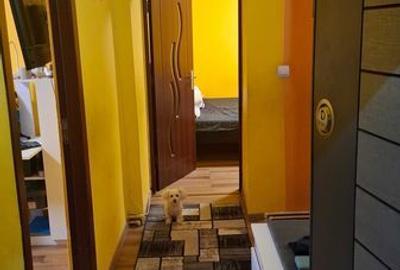 Apartament cu 3 camere în Petros - 1