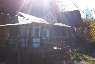 Casă cu 6 camere cu Teren 2700 Mp în Bradu - 5