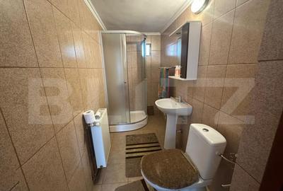 Casa solida pe Bld. Ecaterina Teodoroiu Targu Jiu - 8