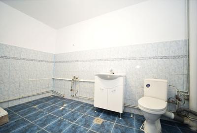 Aroneanu - Sorogari, proprietate excelent pozitionata, de vanzare - 14