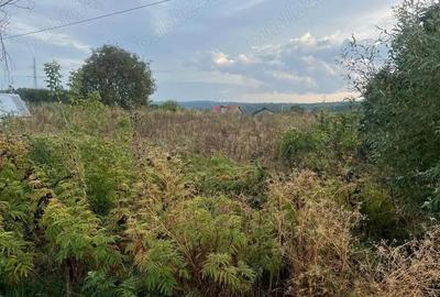 Teren parcele Paun Barnova - 3