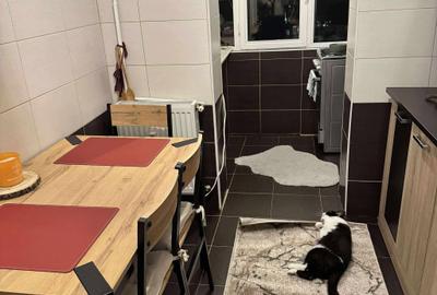 Apartament cu 2 camere decomandat în Nicolina - 3