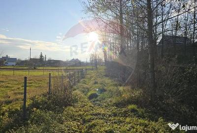 Teren de 10860 mp, în Frătăuții Noi - 17