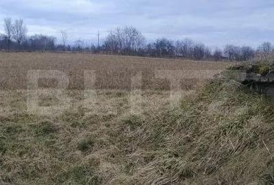 Casă cu Teren 5450 Mp în Central - 6