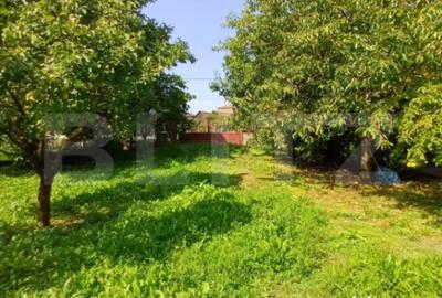 Casă cu 4 camere cu Teren 1860 Mp în Câmpia Turzii - 12