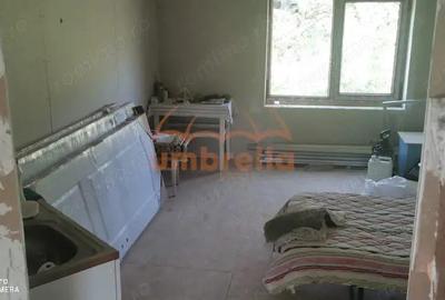 De vanzare casa si grajd +3000m2 teren livada in Sumurducu - Sanpaul - 18
