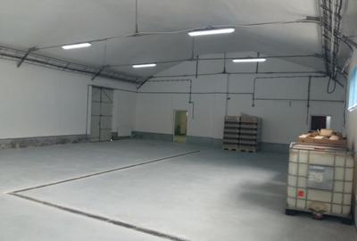 Hala de Inchiriat | Pallady | 400MP - 3