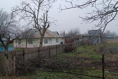 Casă cu Teren 4200 Mp în Dumbrăvița - 3