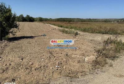 Teren de 2960 mp, în Lipănești - 10