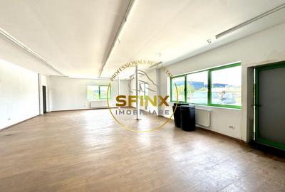 Hala si birouri zona Mogosoaia sos Odai - 13