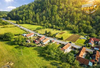 Teren Construcții intravilan de 1249 mp, în Araci - 4