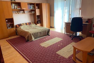 Proprietate inedita cu teren de 4400, si deschidere cu ponton pe Bega - 6