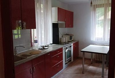 Casa de vacanta Crivaia, langa Valiug -locatie idilica, ideala pentru timp liber - 11