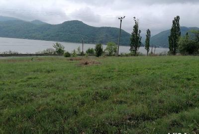 Teren de 2500 mp, în Sichevița - 7
