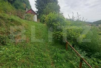 Casă individuală cu 2 camere cu Teren 1000 Mp în Vulcan - 9