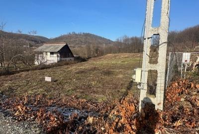 TAUTII MAGHERAUS strada 74 teren intravilan de aprox 36ari ! - 7