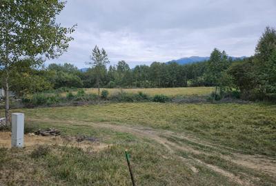 Teren Tohanita-Zarnesti 5000 mp - 3