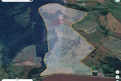 Teren de 659000 mp, în Copșa Mică - 1