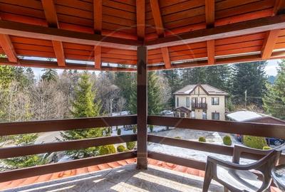 Hotel/Pensiune, de 404 mp, în Vlădeț - Trei Brazi - 40