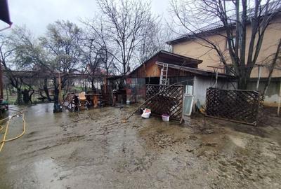 Casă individuală cu 4 camere cu Canalizare în Alexandriei - 8