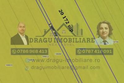 Teren agricol Munteni/Galati / 7.5 ha - 3