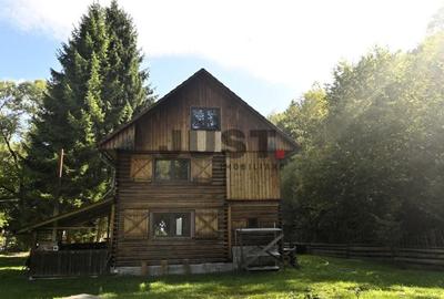 Problema e orașul. Soluția: un pârâu în curtea ta. Casa/Cabana Valea Fericirii - 1