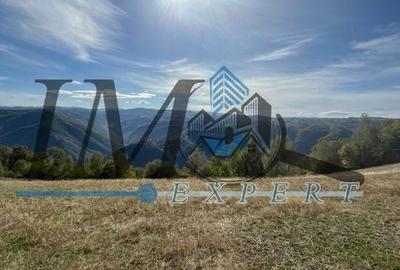 Teren extravilan la munte zona Loman! - 2