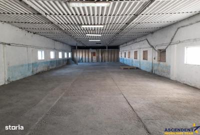 Spațiu comercial, de 800 mp, în Colonia Bod - 6