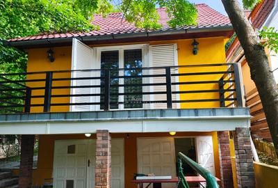 Cabana ta de vis #238;n inima naturii Padurea Neagra ... - 16