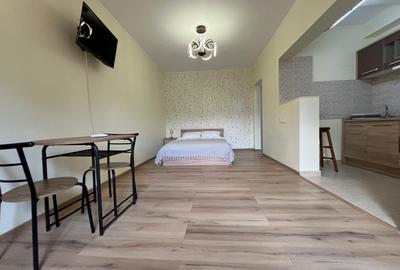 Garsonieră de închiriat, zona Abator Garsonieră de închiriat, zona Abator - 1