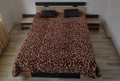 Apartament cu 2 camere semidecomandat în Decebal - 8