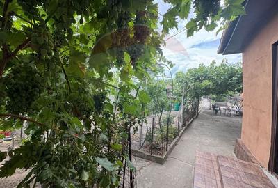 Casa / Vila cu 4 camere de vanzare in zona Brestei - 5