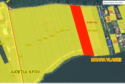 Teren de vânzare cu acces direct la lac, între pădure și apă – Moara Vlăsiei - 1
