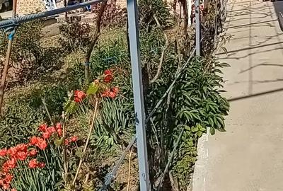 Casă cu 5 camere în Pechea - 2