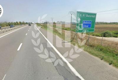 Teren Industrial Hale | A1 Bolintin Deal | București-Pitești Km 25 - 2