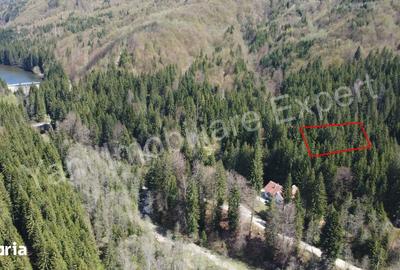 Teren de 983 mp, în Nucșoara - 1