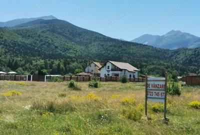 Teren de 1000 mp, în Sâmbăta de Sus - 3