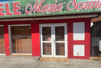 Inchiriez spatiul comercial - 6