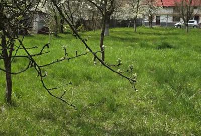 Teren de 1048 mp, în Vlădești - 1