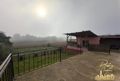 Casa cu anexe si teren de 1000 mp de vanzare in comuna Spinus-Bihor - 36
