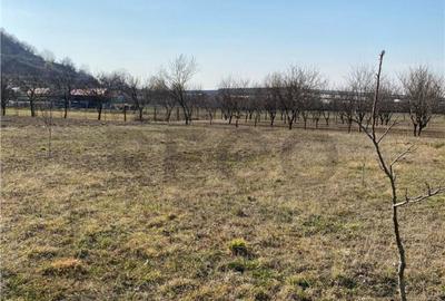 RECO Teren intravilan in zona Alesd Sat Subpiatra 800mp - 8