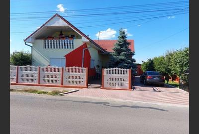 House for sale, 4 Rooms, 250 sqm, Jucu de Sus - 4