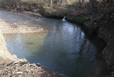 Teren Construcții intravilan de 1810 mp, în Fârdea - 3